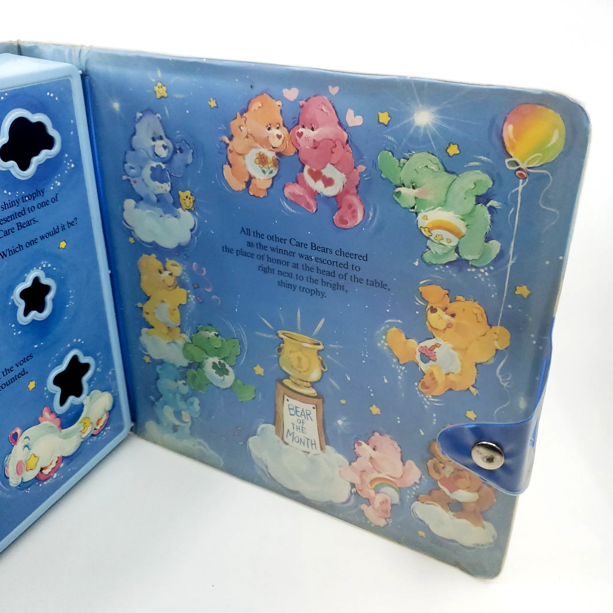 Care Bear Carrying Case