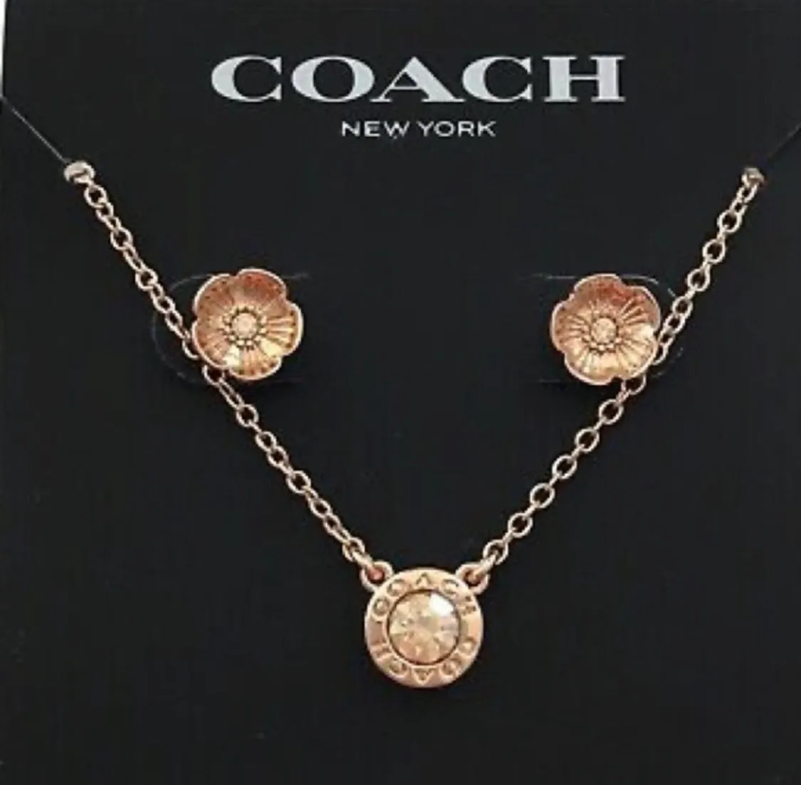 Coach Necklace & Earrings Set