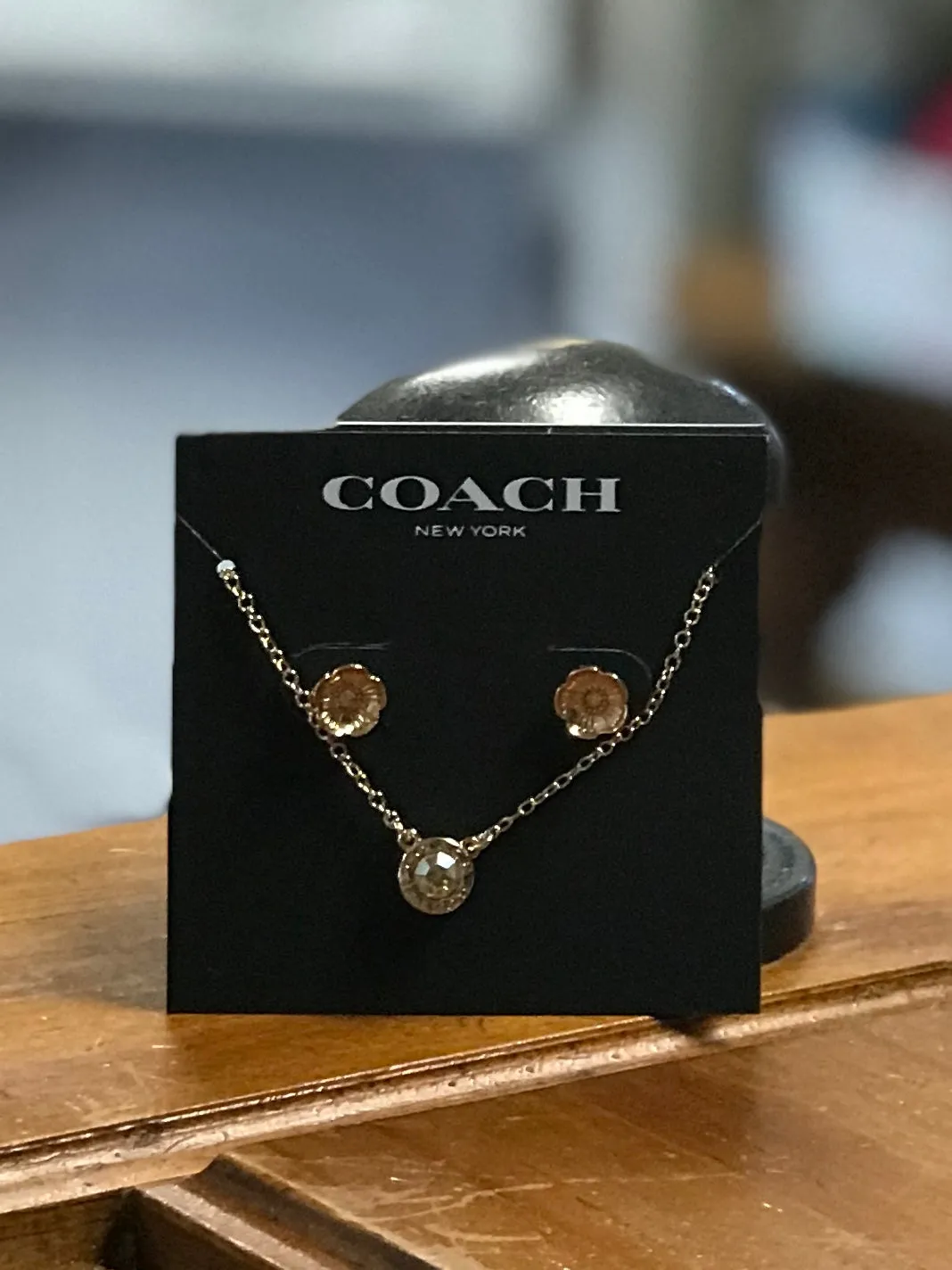 Coach Necklace & Earrings Set