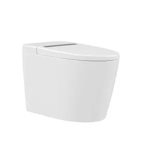 DeerValley DV-1S0159-V3 Smart Bidet Toilet,Auto Flush, Heated Seat, Tankless One-Piece Bidet Toilets for Bathrooms