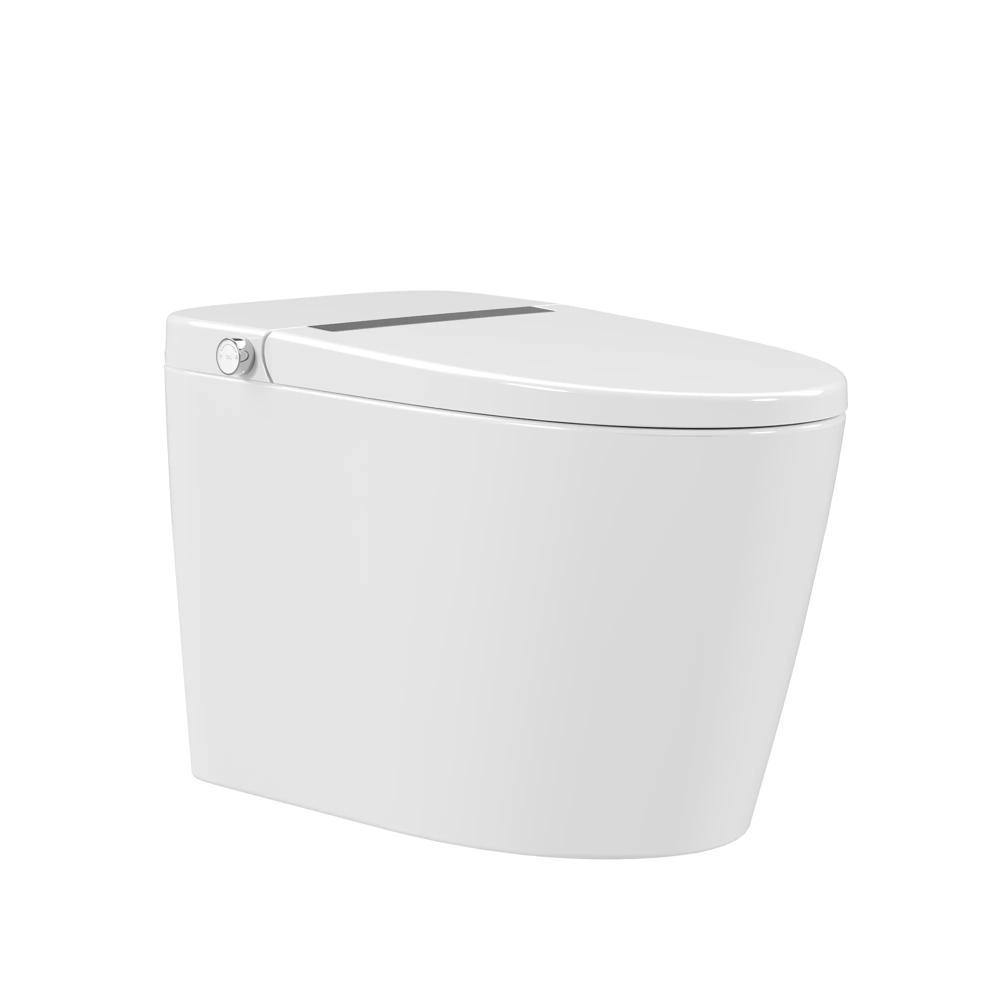 DeerValley DV-1S0159/0159-V1 Smart Bidet Toilet,Auto Flush, Heated Seat, Tankless One-Piece Bidet Toilets for Bathrooms