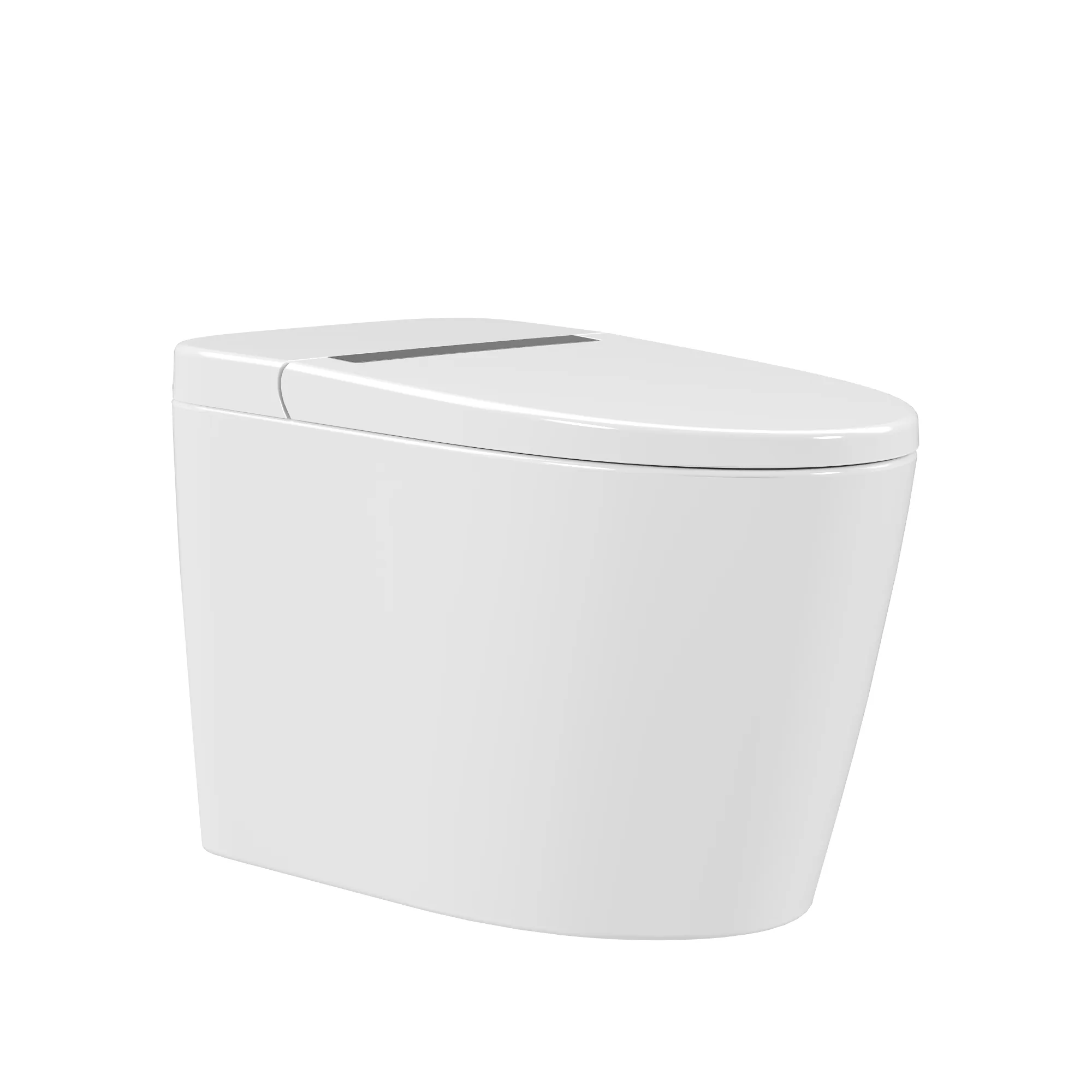 DeerValley DV-1S0159/0159-V1 Smart Bidet Toilet,Auto Flush, Heated Seat, Tankless One-Piece Bidet Toilets for Bathrooms