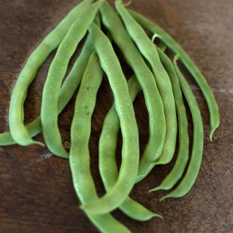 Kentucky Wonder Pole Bean (Heirloom 66 Days)