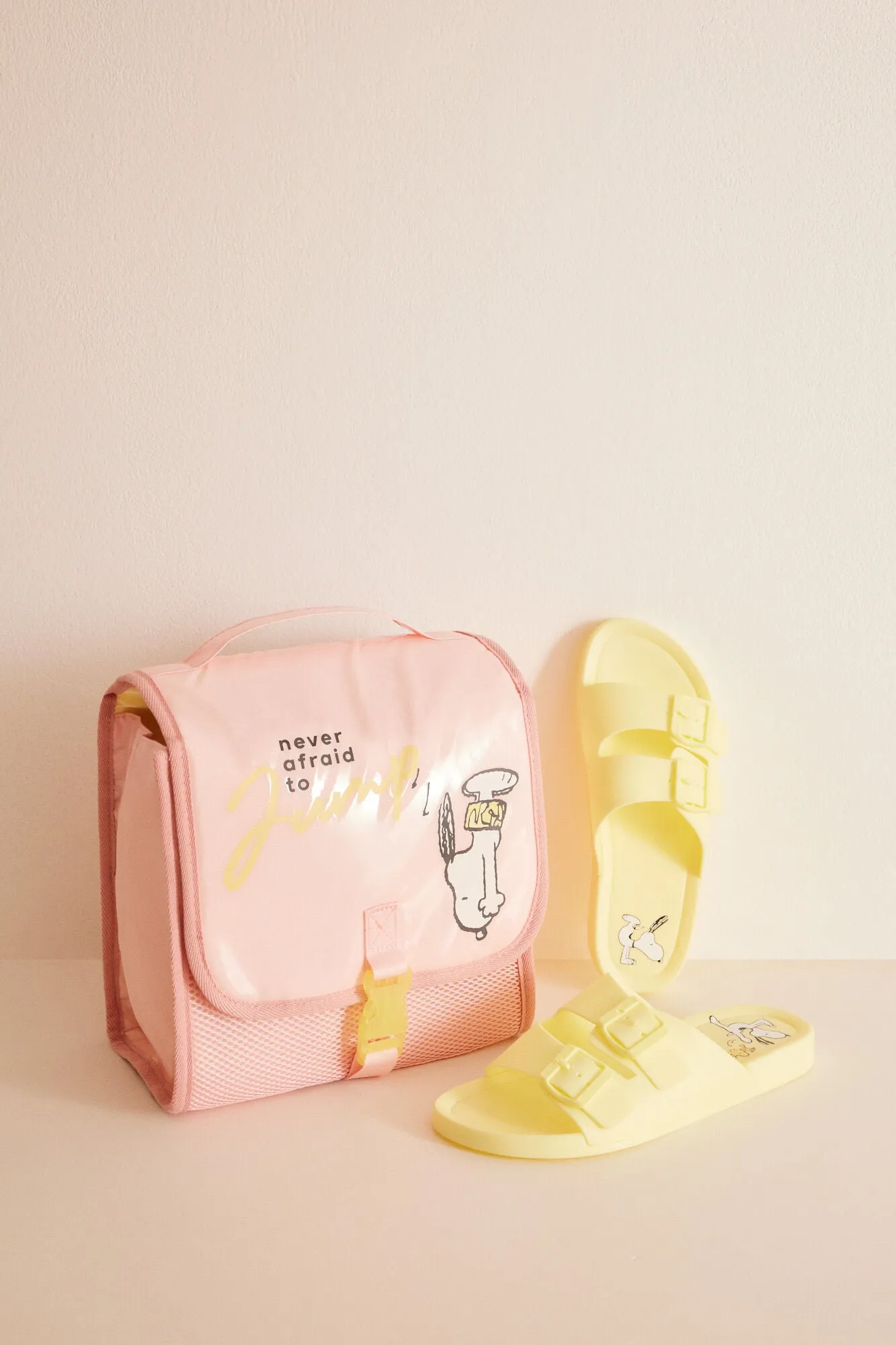 Pink Snoopy vanity case