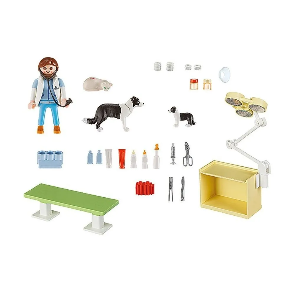 Playmobil Vet Visit Carry Case 5653