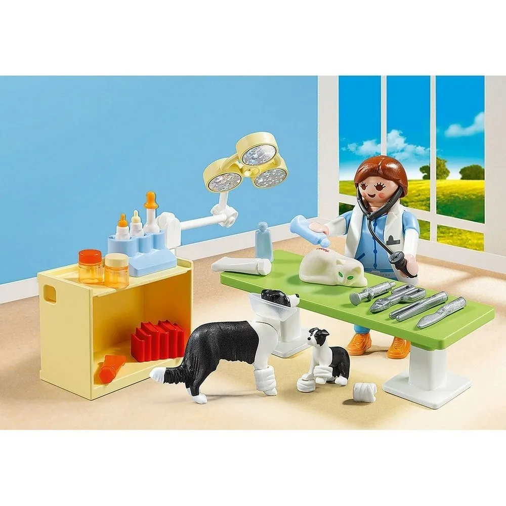 Playmobil Vet Visit Carry Case 5653