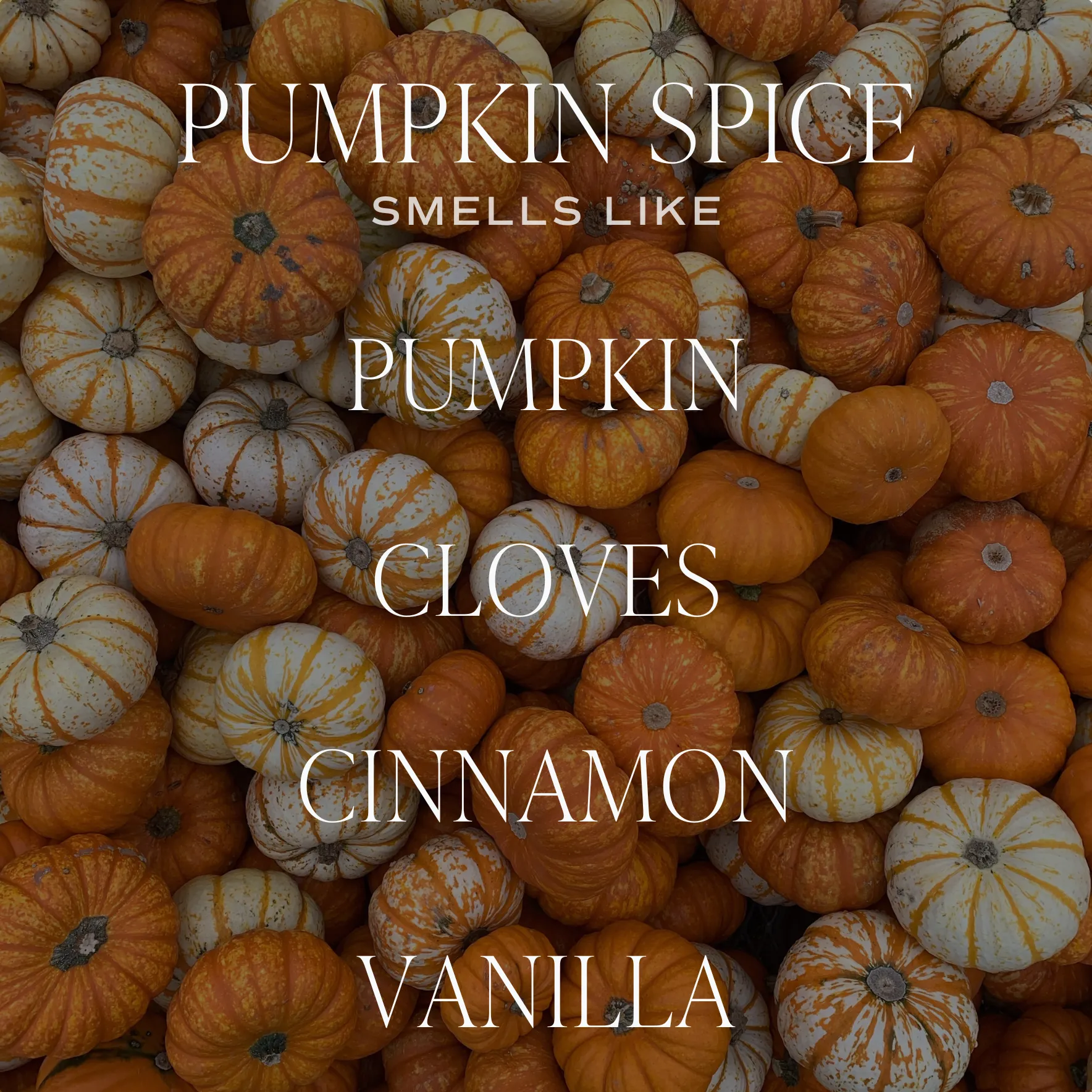 Pumpkin Spice Hanging Air Freshener