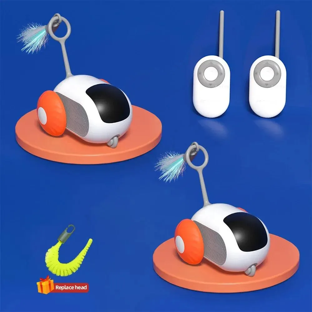 Smart Cat Toy Car