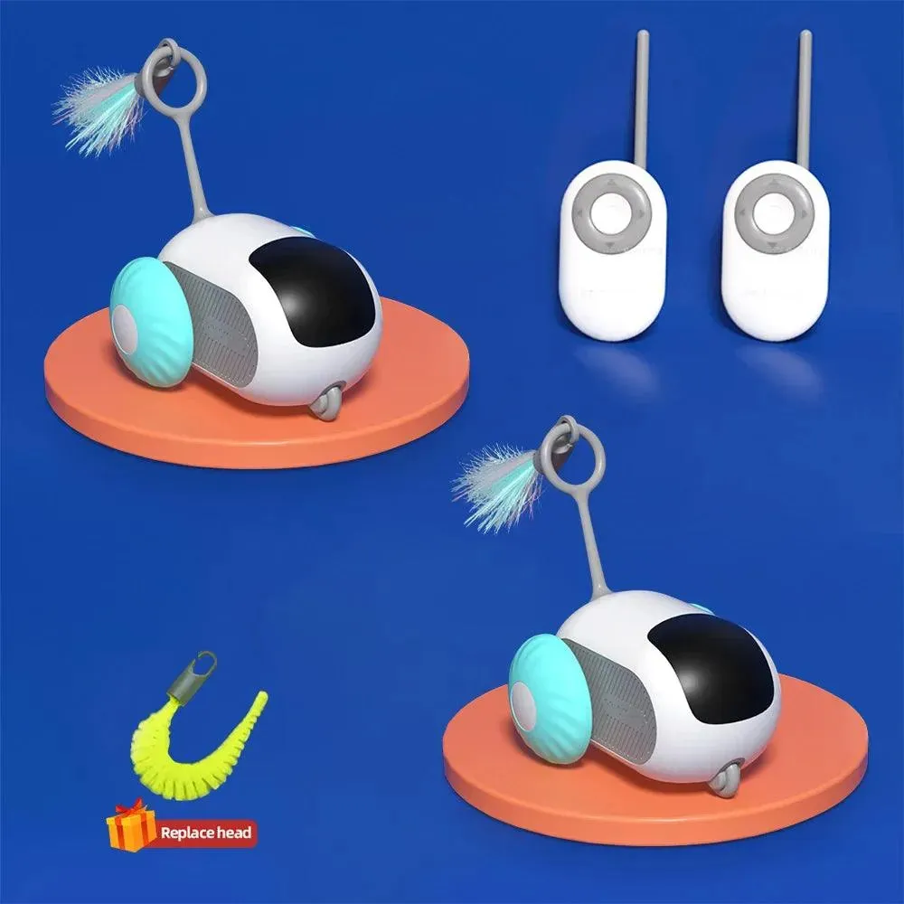 Smart Cat Toy Car