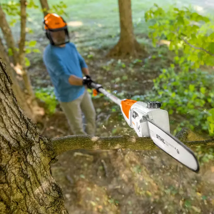 Stihl | HTA 50 Battery Pole Pruner | w/ AK 20 Battery and AL 101 Charger (LA02 200 0018)