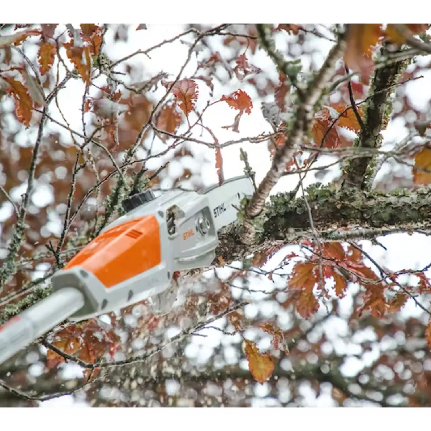 STIHL HTA 50 Battery Powered Pole Pruner - Tool Only